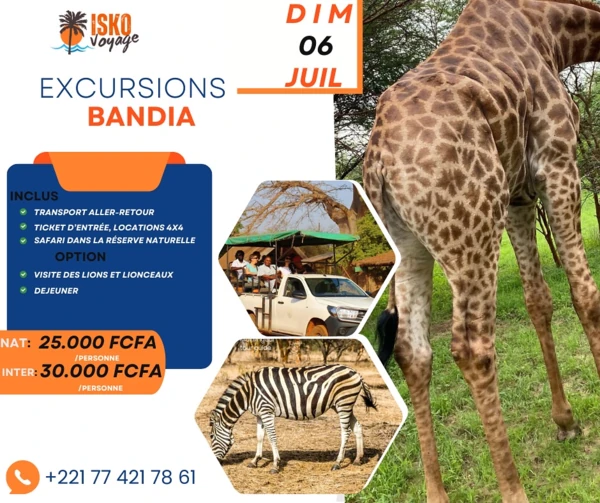 Safari à la Réserve de Bandia